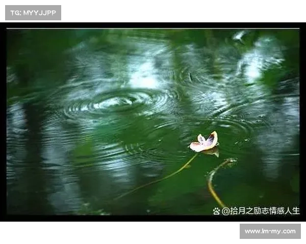 揭开沼光湖的神秘面纱探寻幽怨诡异的过往与未解之谜 揭开沼光湖的神秘面纱探寻幽怨诡异的过往与未解之谜